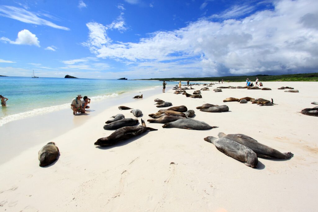 Recommended Reading for Galapagos Islands