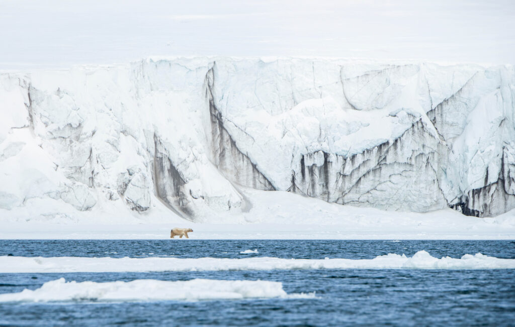 Svalbard in Spring: Sea Ice, Pristine Snow and Wildlife - Quark Expeditions